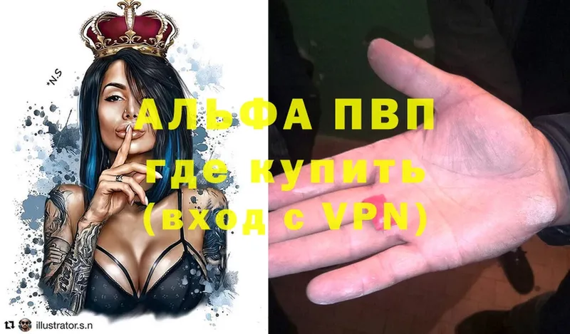 закладки  Трёхгорный  А ПВП крисы CK 